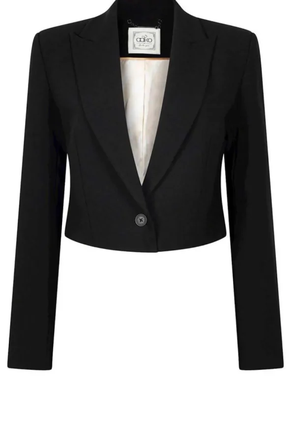 Jassen En Blazers<Aaiko Cropped Blazer Ariel | Zwart