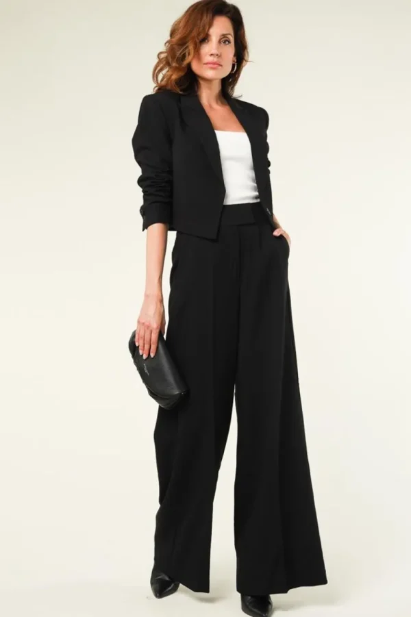 Jassen En Blazers<Aaiko Cropped Blazer Ariel | Zwart