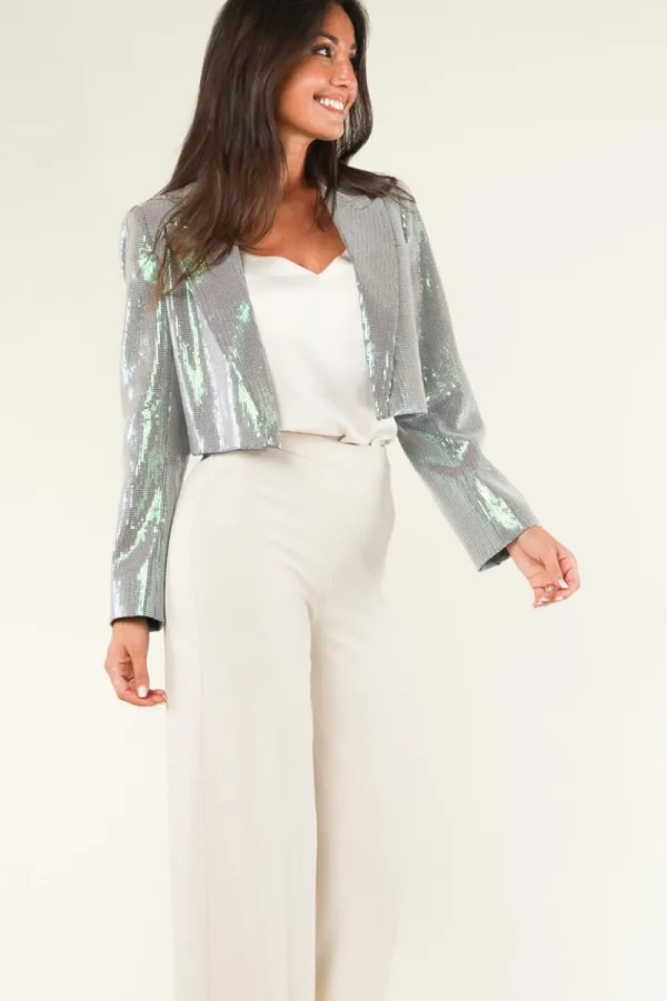 Jassen En Blazers<Co'Couture Cropped Jasje Met Pailletten Alice | Zilver